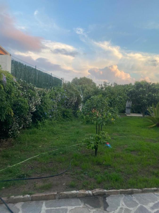 Il Nespolo Casa Vacanze A Due Passi Dal Mare Olbia