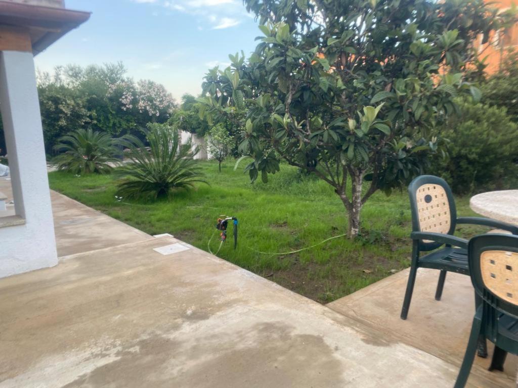 Il Nespolo Casa Vacanze A Due Passi Dal Mare * Olbia